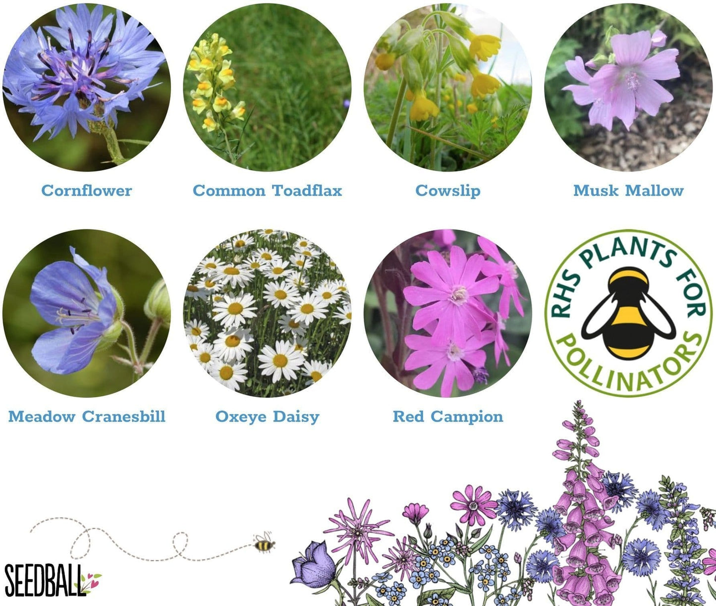 Seedball Urban Meadow Mix Seed Bombs ( Wild Flower Tin)  - Sow Spring Autumn