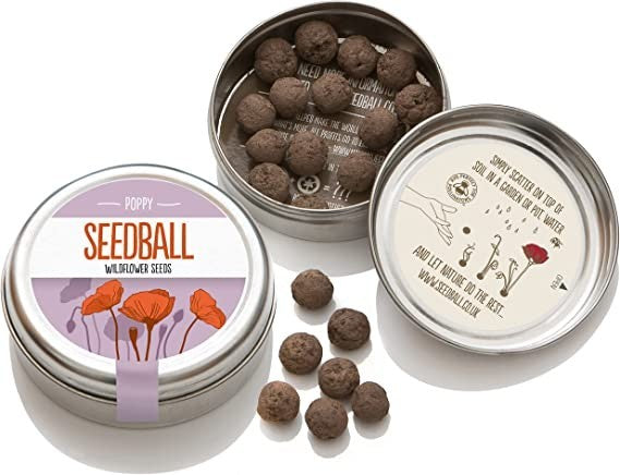 Seedball Mix Seed Bombs (British Wild Flower Tin)  - Poppy - Sow Spring Autumn