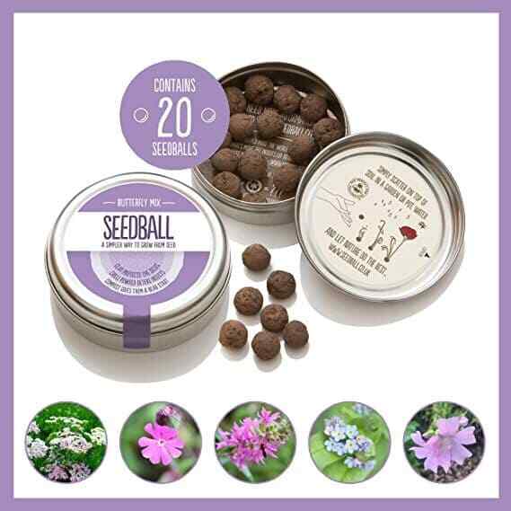 Seedball Butterfly Mix Seed Bombs(British Wild Flower Tin)  - Sow Spring Autumn