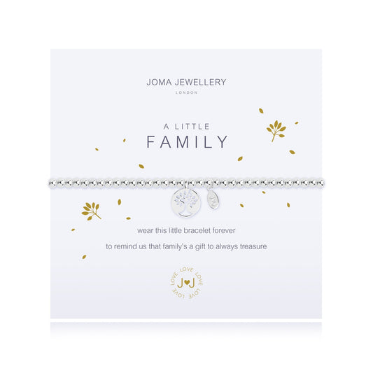 Joma Jewellery Silver Plated Beaded Bracelet A Little FAMILY + Gift Bag 2077