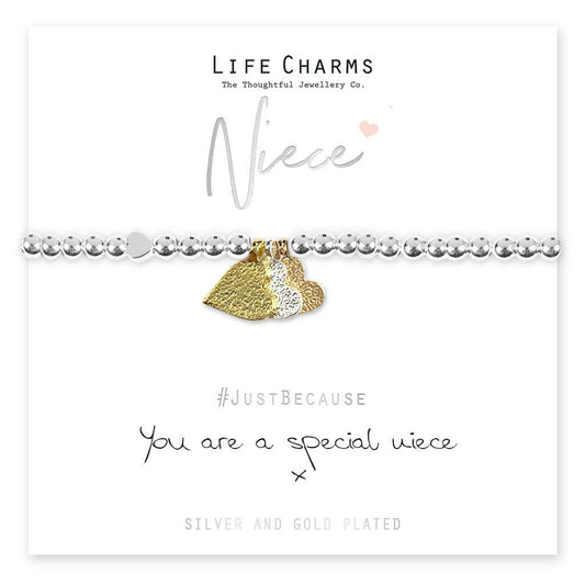 Life Charms Bracelet - " You Are A SPECIAL NIECE " -  Beautifully Gift Boxed