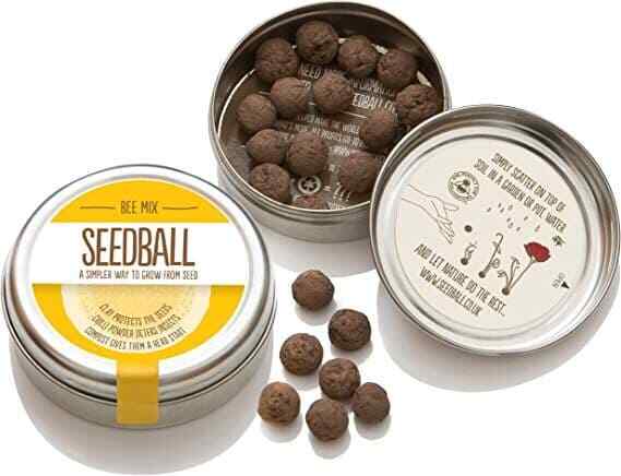 Seedball Bee Mix Seed Bombs (British Wild Flower Tin)  - Sow Spring Autumn