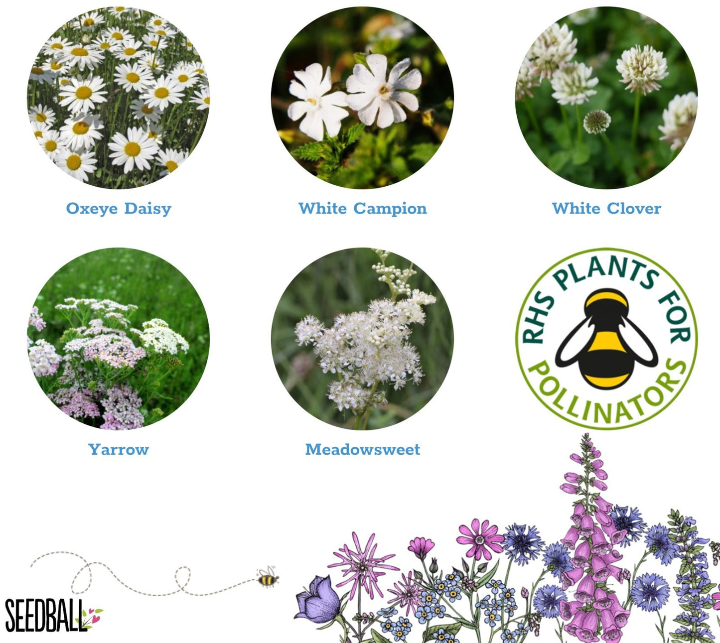 Seedball Mix Seed Bombs British Wild Flower Tin  CLOUD MEADOW Sow Spring Autumn