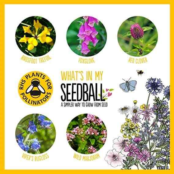 Seedball Bee Mix Seed Bombs (British Wild Flower Tin)  - Sow Spring Autumn
