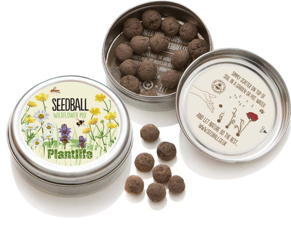 Seedball Mix Wild Flower Seed Bombs for Wildlife - Plantlife Sow Spring Autumn
