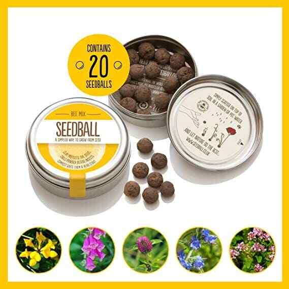 Seedball Bee Mix Seed Bombs (British Wild Flower Tin)  - Sow Spring Autumn