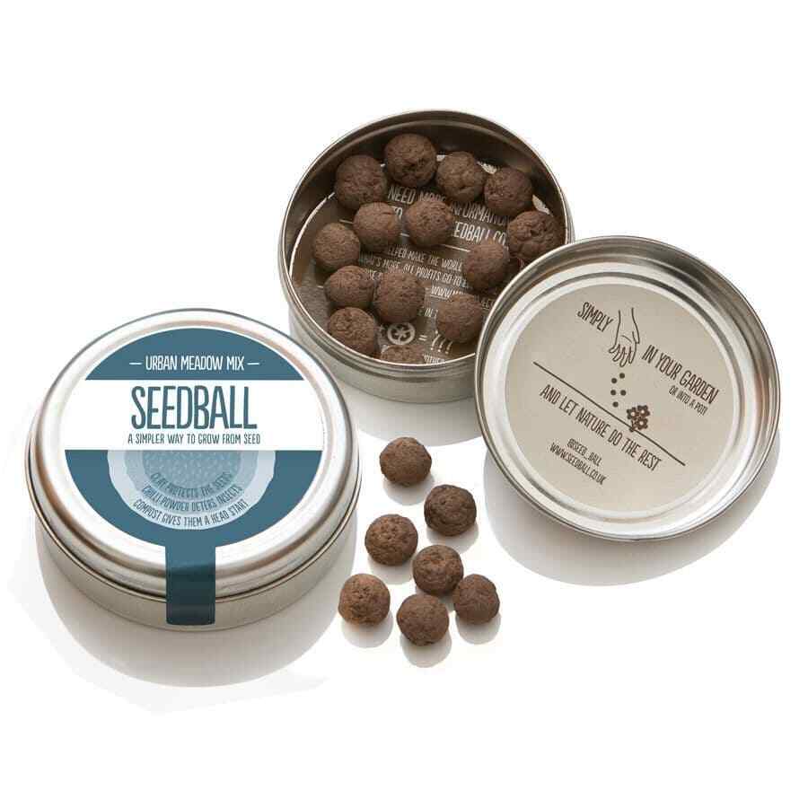 Seedball Urban Meadow Mix Seed Bombs ( Wild Flower Tin)  - Sow Spring Autumn