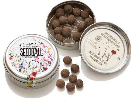 Seedball Mix Seed Bombs UK Wild Flower Tin  ARTISTS MEADOW Sow Spring Autumn