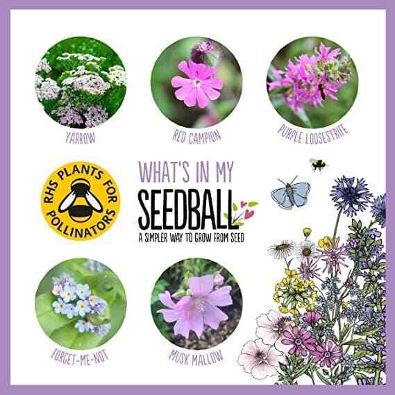 Seedball Butterfly Mix Seed Bombs(British Wild Flower Tin)  - Sow Spring Autumn