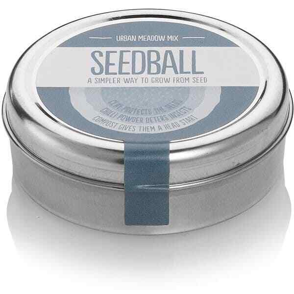 Seedball Urban Meadow Mix Seed Bombs ( Wild Flower Tin)  - Sow Spring Autumn