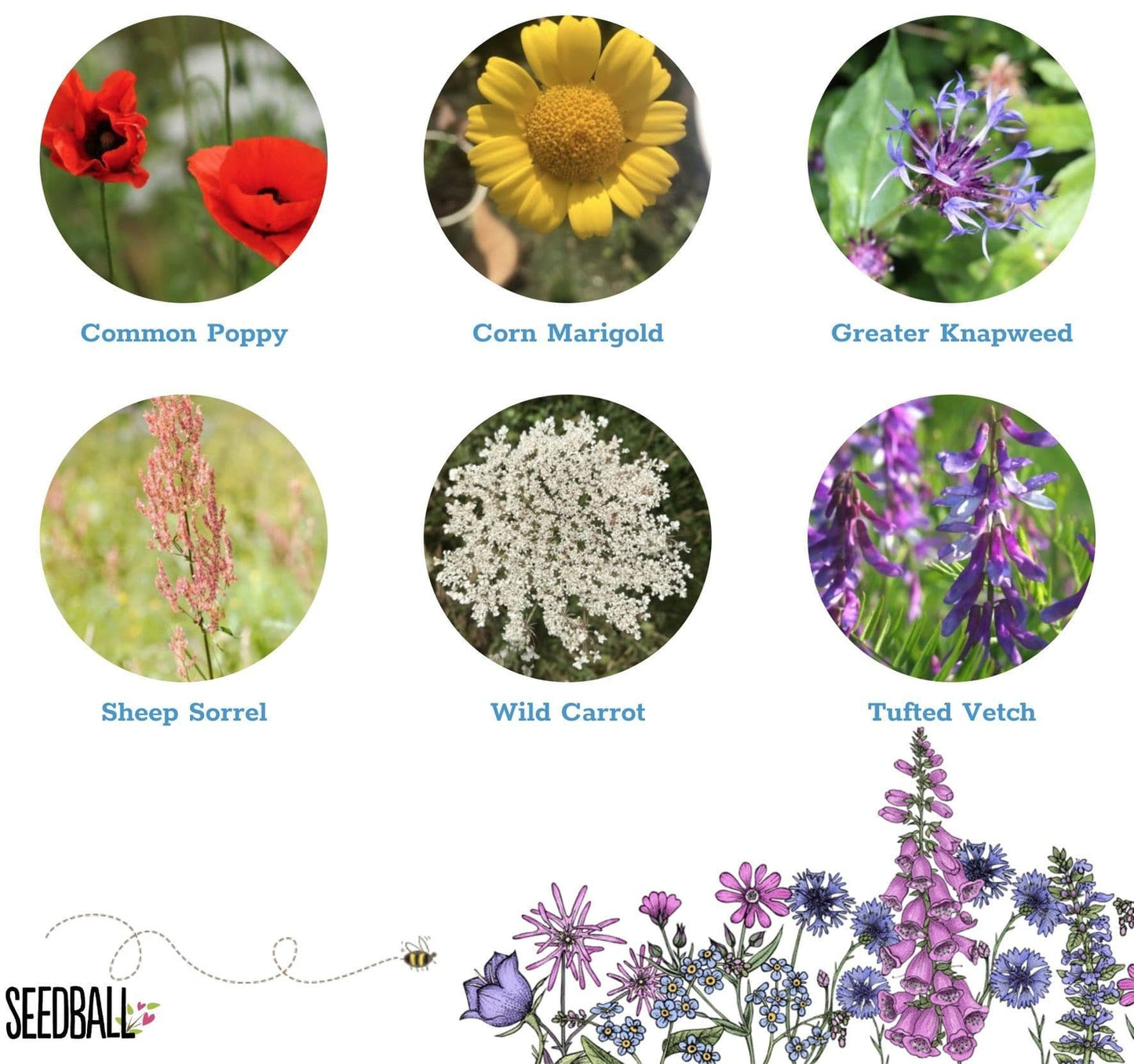 Seedball Bird Mix Seed Bombs (British Wild Flower Tin)  - Sow Spring Autumn