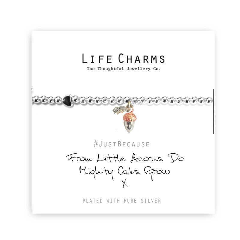 Life Charms Bracelet - From LITTLE ACORNS Do Mighty Oaks Grow - Gift Boxed LC073