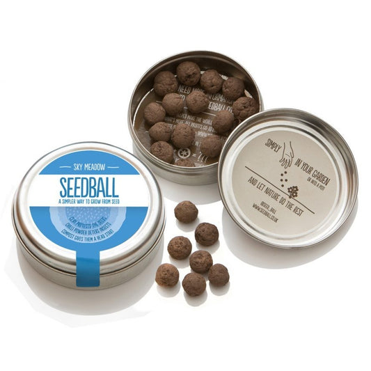 Seedball Mix Seed Bombs British Wild Flower Tin  SKY MEADOW Sow Spring Autumn
